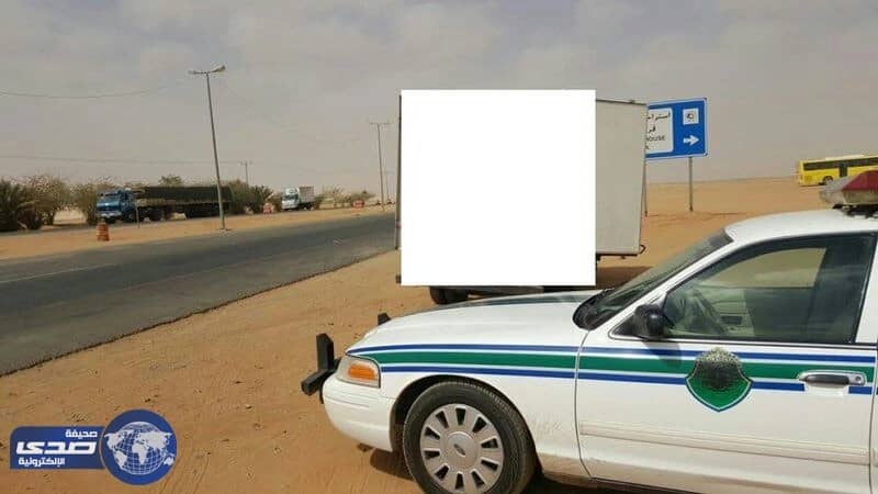 ضبط 3 شاحنات تحمل مواد غذائية غير صالحة للاستخدام الآدمي بتيماء