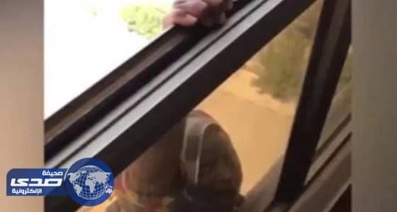 النيابة الكويتية تحقق في محاولة انتحار خادمة إثيوبية وامتناع كفيلتها عن مساعدتها " فيديو "