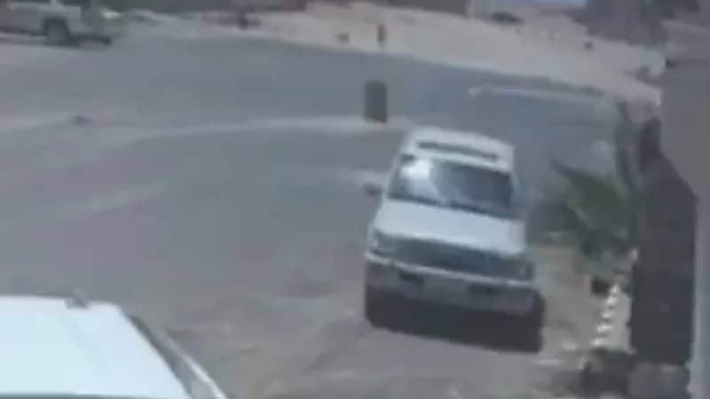 بالفيديو .. كلاب ضالة تطارد طفلة لافتراسها بالقريات