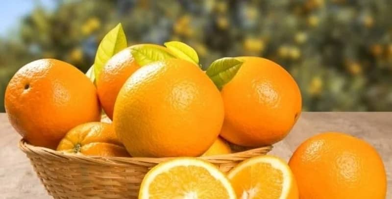 أبرزها خفض ضغط الدم..فوائد هامة لثمرة 'البرتقال"