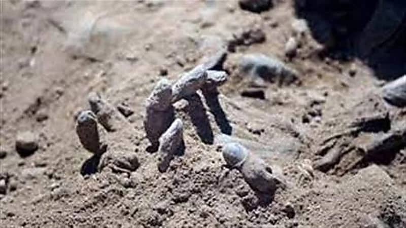 مصري يقتل طليقته ثم يلقي جثتها في منطقة صحراوية