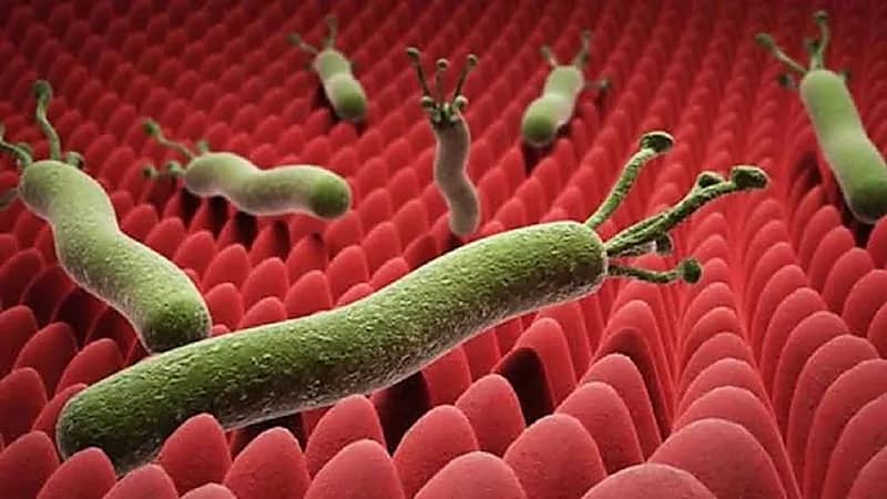 استشاري يكشف عن الدواء المناسب لجرثومة المعدة خلال رمضان