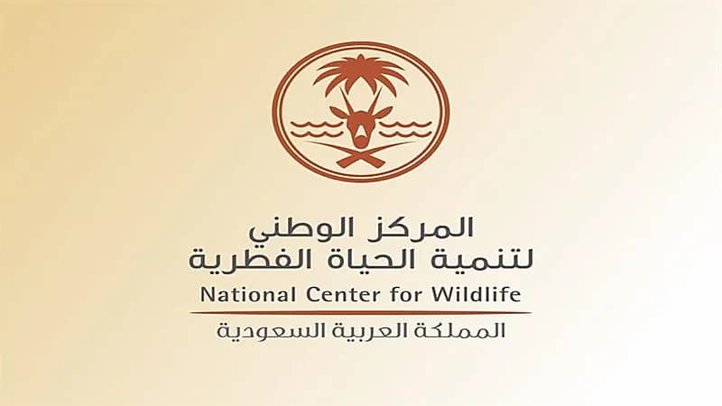 الحياة الفطرية تعلق على الفيديو المتداول لصيد أنثى وَعْل وصغيرها: صُوّر خارج المملكة