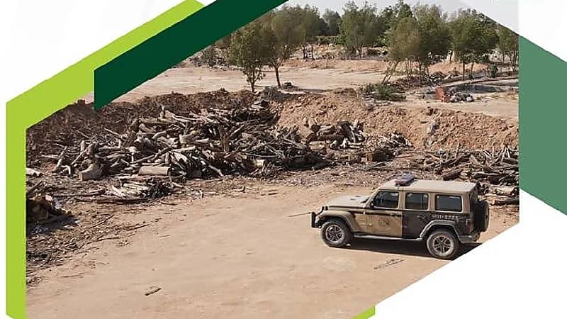 ضبط 3 مخالفين لنقلهم وبيعهم وتخزينهم حطبًا وفحمًا محليين بالمدينة