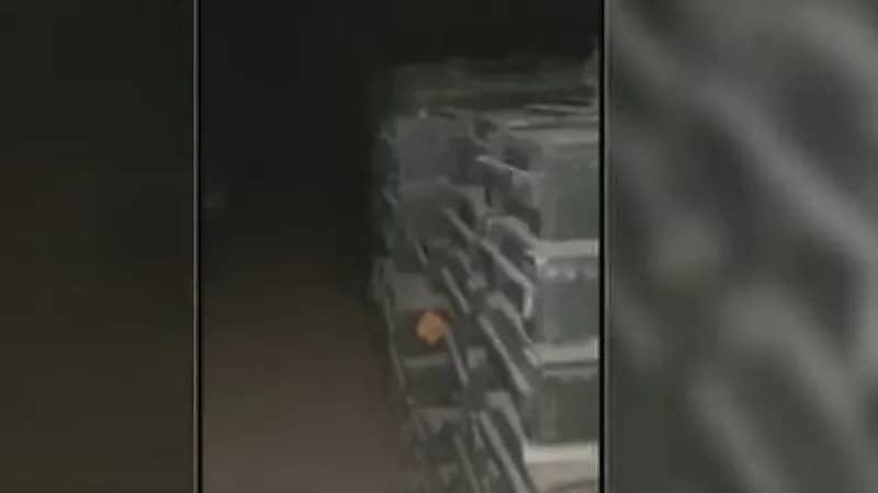 بالفيديو.. الجيش السوداني يسيطر على مخزن أسلحة تابع للدعم السريع