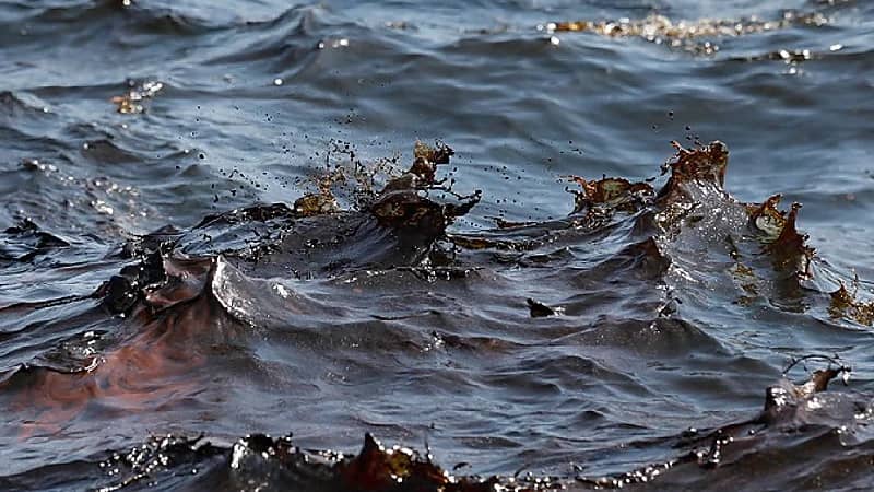 طالبة تبتكر غشاء لمعالجة المياه الملوثة بالنفط.. فيديو