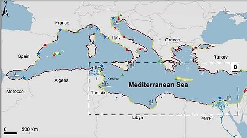 بعد إعصار دانيال..عالم فضاء مصري يحذر من كارثة في 3 مدن عربية