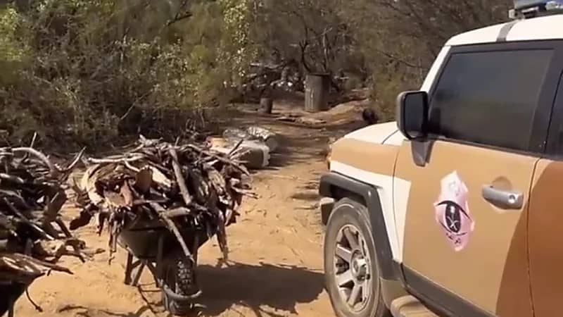ضبط مخالفين بحوزتهما حطب محلي معروض للبيع في مكة المكرمة