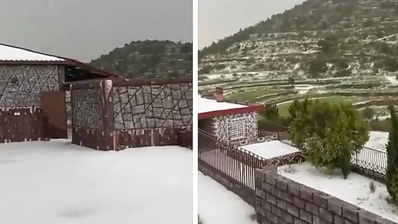 مشهد جميل من بردية مرتفعات السودة في عسير .. فيديو