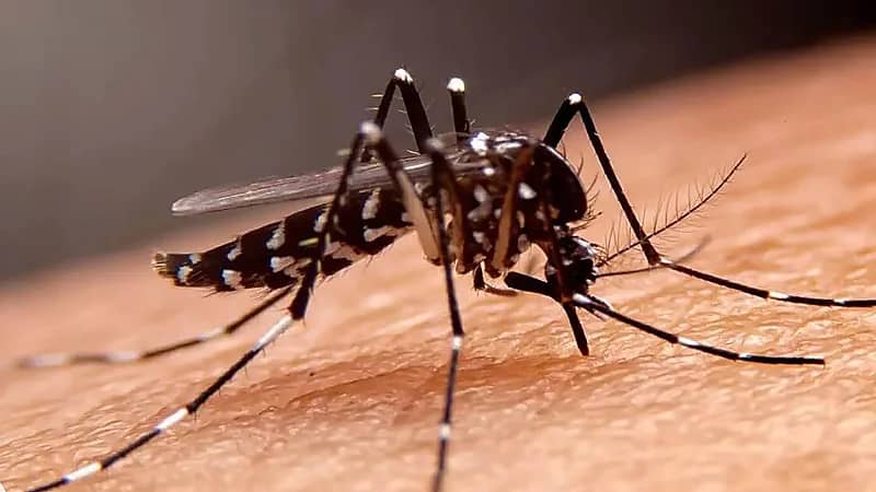 طبيب يحذر من مرض خطير يهدد الأردن