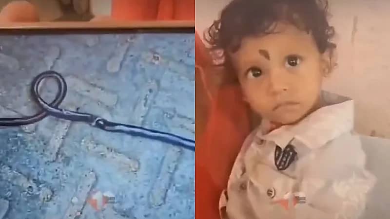 طفل رضيع يعض ثعبانًا حتى الموت خلال لعبه بالشرفة .. فيديو