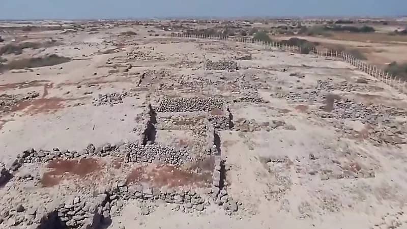 عالم اثار: الوجود البشري في جزيرة فرسان يعود الى مليون عام .. فيديو