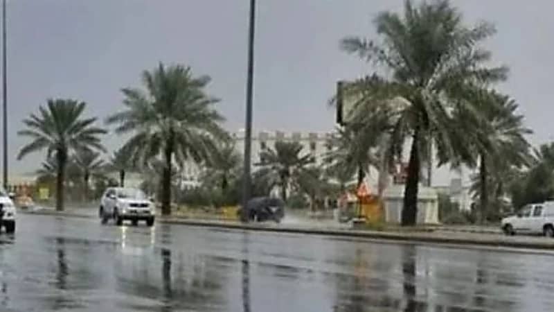 القحطاني : حالة مطرية جديدة تؤثر على عدد من مناطق المملكة.. فيديو