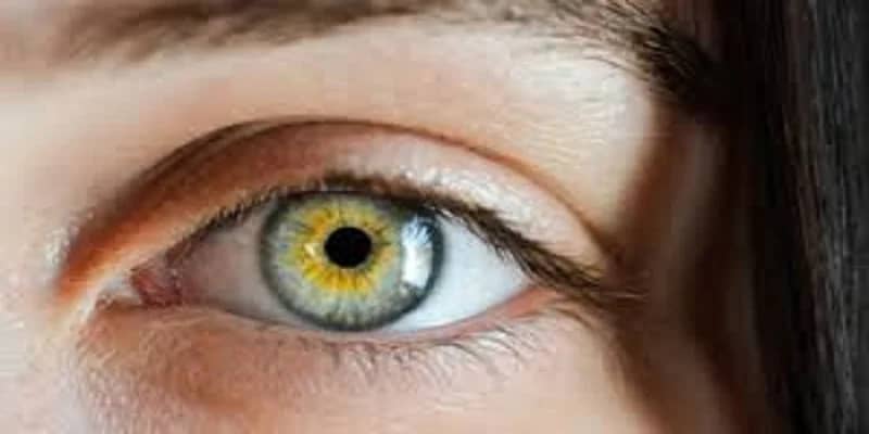 خبراء: أعراض ارتفاع الكوليسترول قد تظهر في عين واحدة