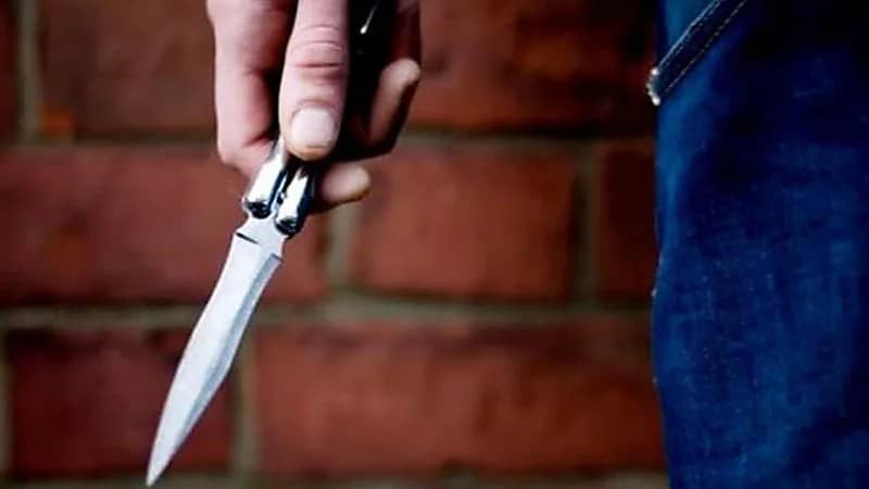 طفل مصري يتعرض للطعن وقتل كلبه أثناء دفاعه عنه