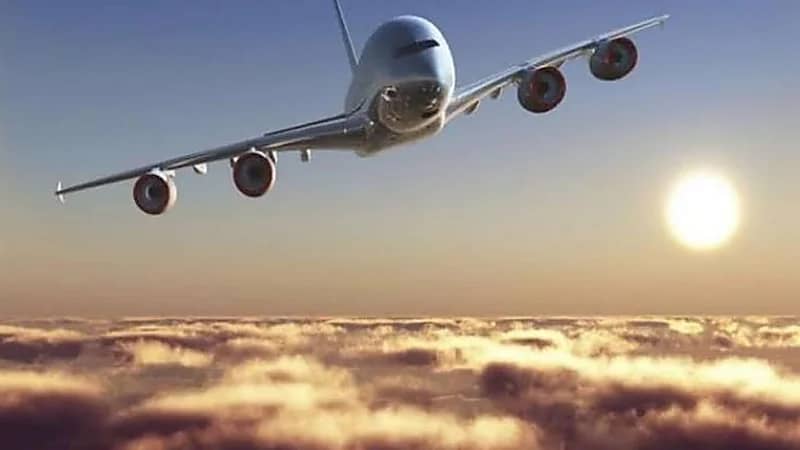 مضيفة طيران تحذر: السراويل القصيرة على الطائرة خطر صحي مقزز