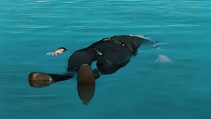 جثة بلا رأس تثير الرعب على شواطئ الساحل الشمالي بمصر .. فيديو