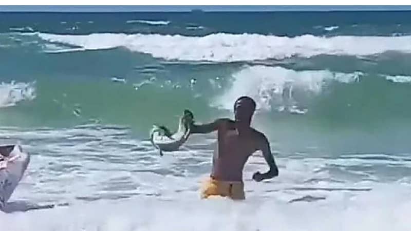 WhatsApp Image 2025-09-12 at 2.32.32 PM.jpeg