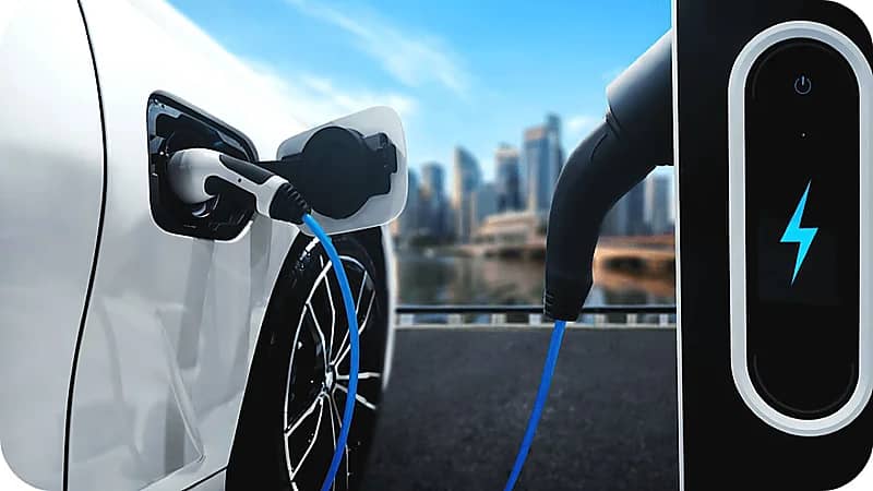 WhatsApp Image 2025-09-23 at 1.49.45 PM.jpeg