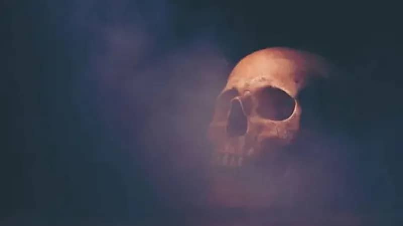 WhatsApp Image 2025-09-26 at 8.14.50 PM.jpeg