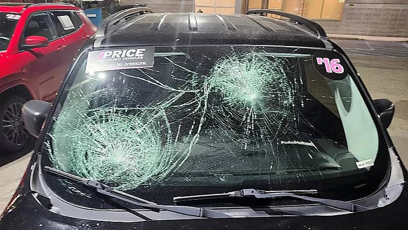 WhatsApp Image 2025-09-27 at 7.25.36 PM.jpeg