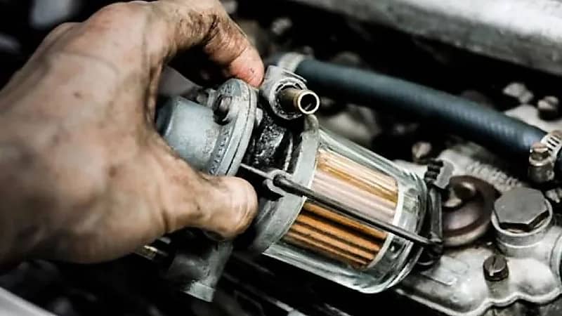 WhatsApp Image 2025-09-27 at 8.53.58 PM.jpeg