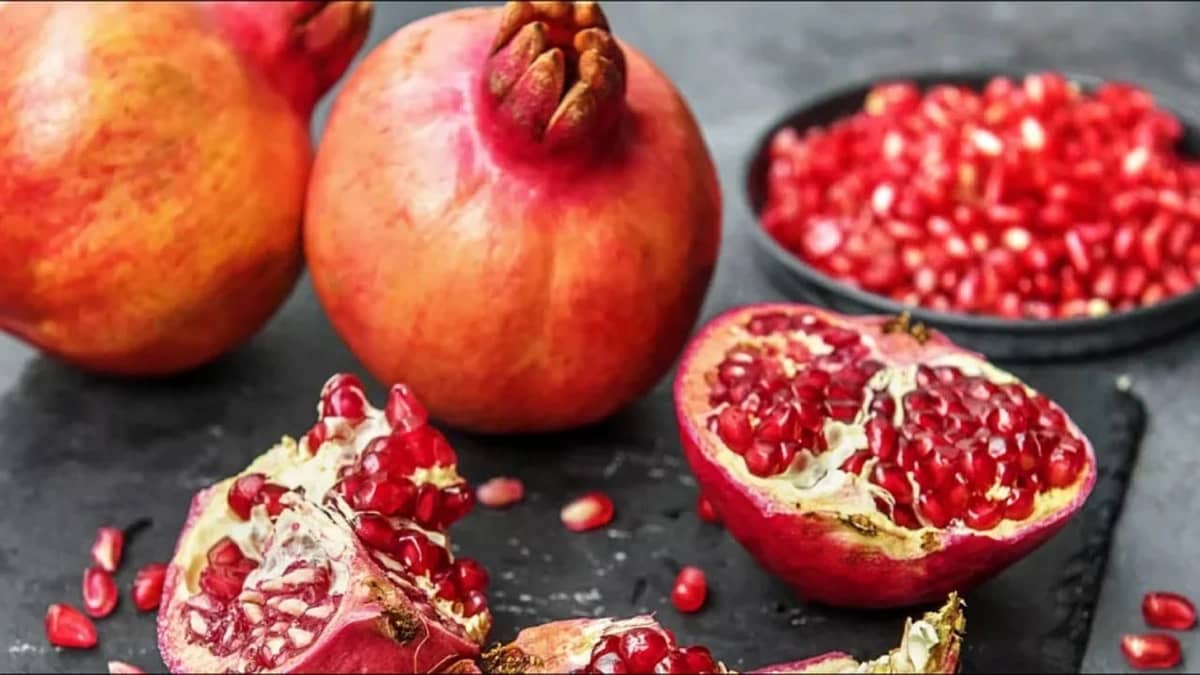 WhatsApp Image 2025-10-05 at 6.32.46 PM.jpeg