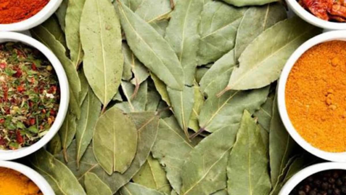 WhatsApp Image 2025-10-07 at 7.18.13 PM.jpeg