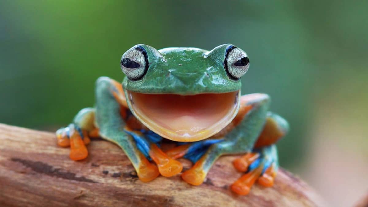 WhatsApp Image 2025-10-09 at 11.52.08 AM.jpeg