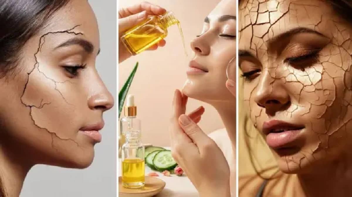 WhatsApp Image 2025-10-09 at 7.09.58 PM.jpeg