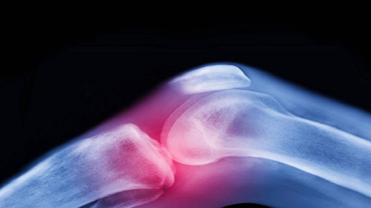 WhatsApp Image 2025-10-11 at 3.06.51 PM.jpeg