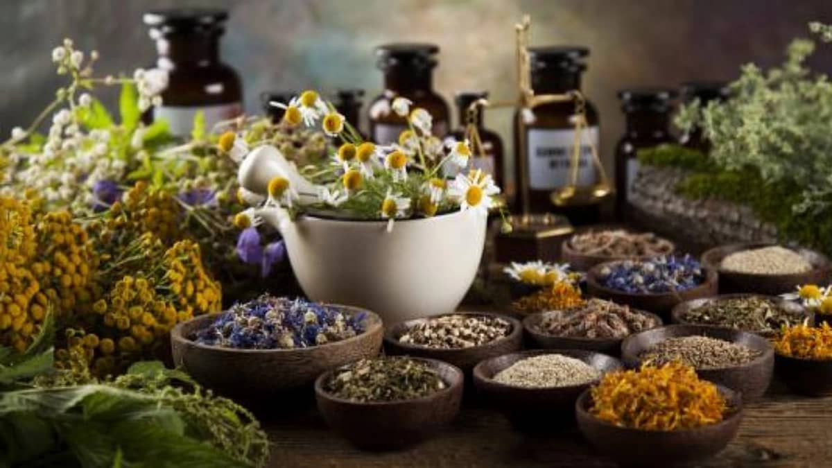 WhatsApp Image 2025-10-13 at 9.42.09 PM.jpeg