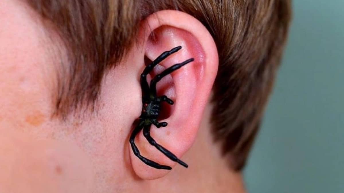 WhatsApp Image 2025-10-14 at 11.45.53 AM.jpeg