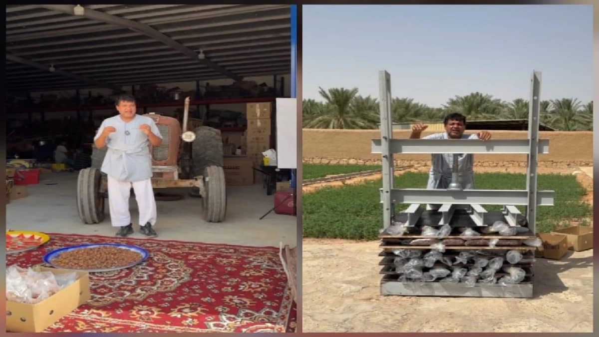 الزعاق: مراحل تجهيز تمور موسم الوسم تحدد الطعم والجودة.. فيديو