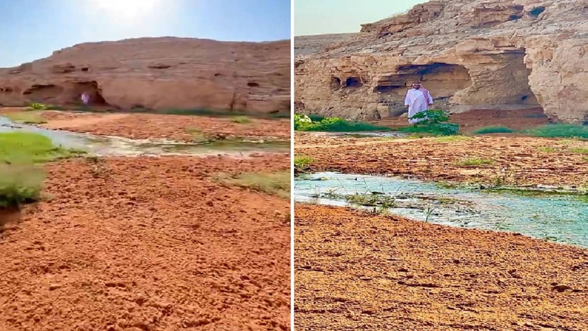 الأمير عبدالعزيز بن فهد في نزهة برية بالدارين .. فيديو