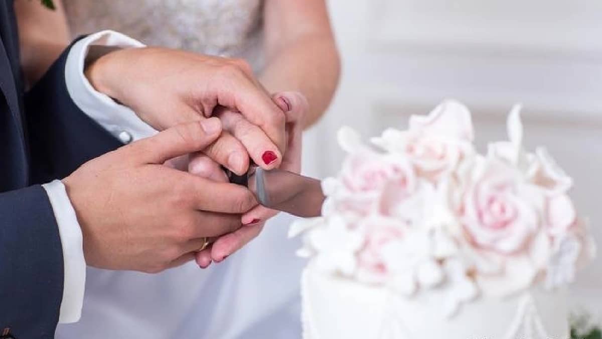 WhatsApp Image 2025-10-17 at 7.00.29 PM.jpeg