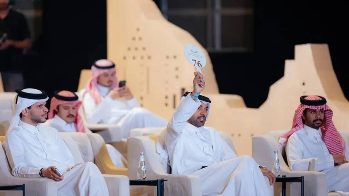 بيع فرخ شاهين بـ 119 ألف ريال بمزاد نادي الصقور السعودي 2025