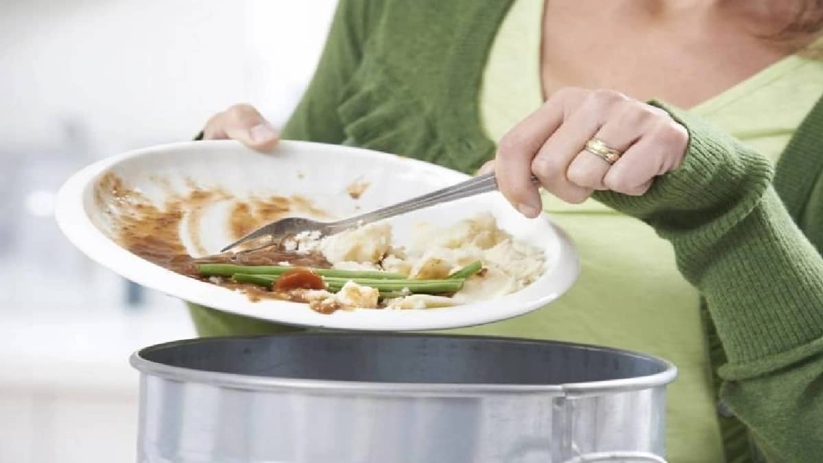 WhatsApp Image 2025-10-19 at 3.58.57 PM.jpeg