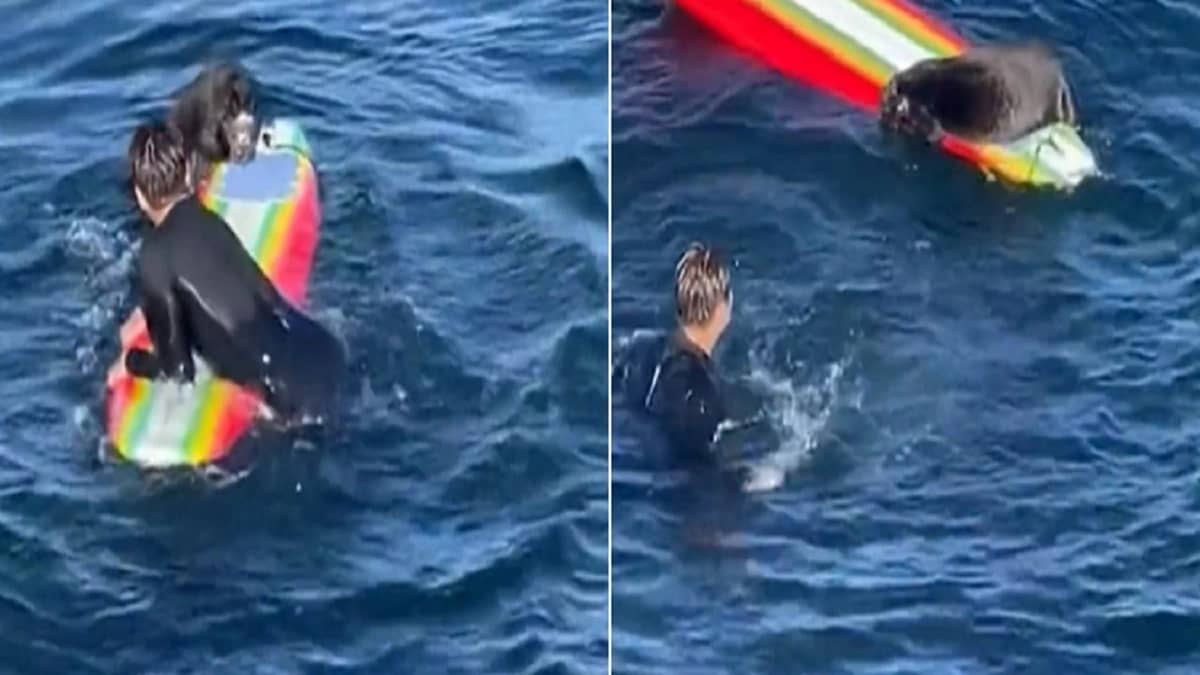 WhatsApp Image 2025-10-20 at 5.04.35 PM.jpeg