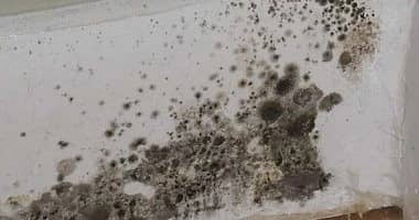 WhatsApp Image 2025-10-20 at 5.44.58 PM.jpeg