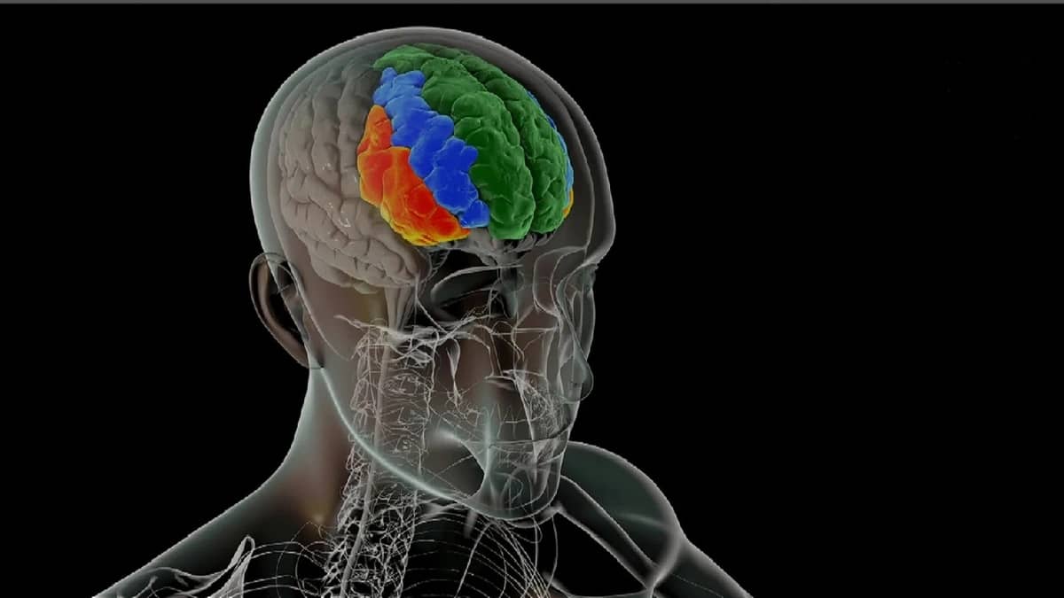 WhatsApp Image 2025-10-23 at 8.32.48 PM.jpeg