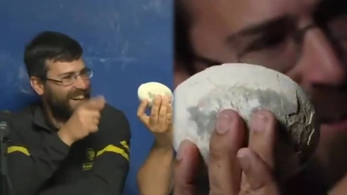 WhatsApp Image 2025-10-24 at 1.59.41 PM.jpeg