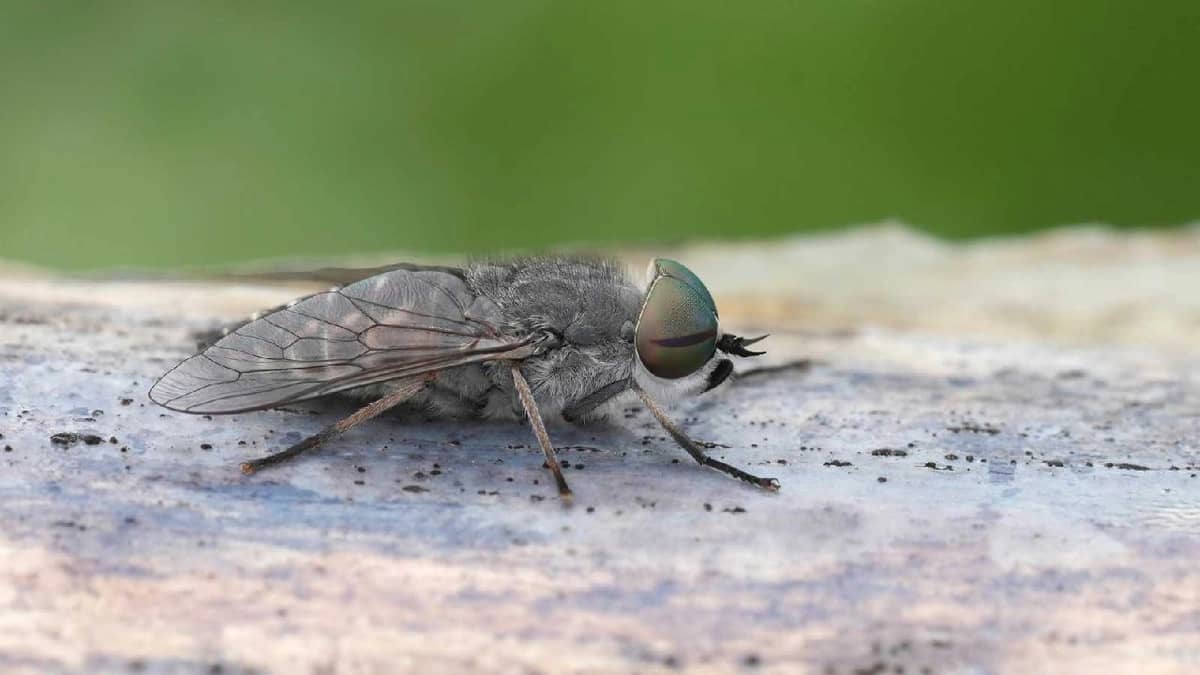 WhatsApp Image 2025-10-24 at 7.22.54 PM.jpeg