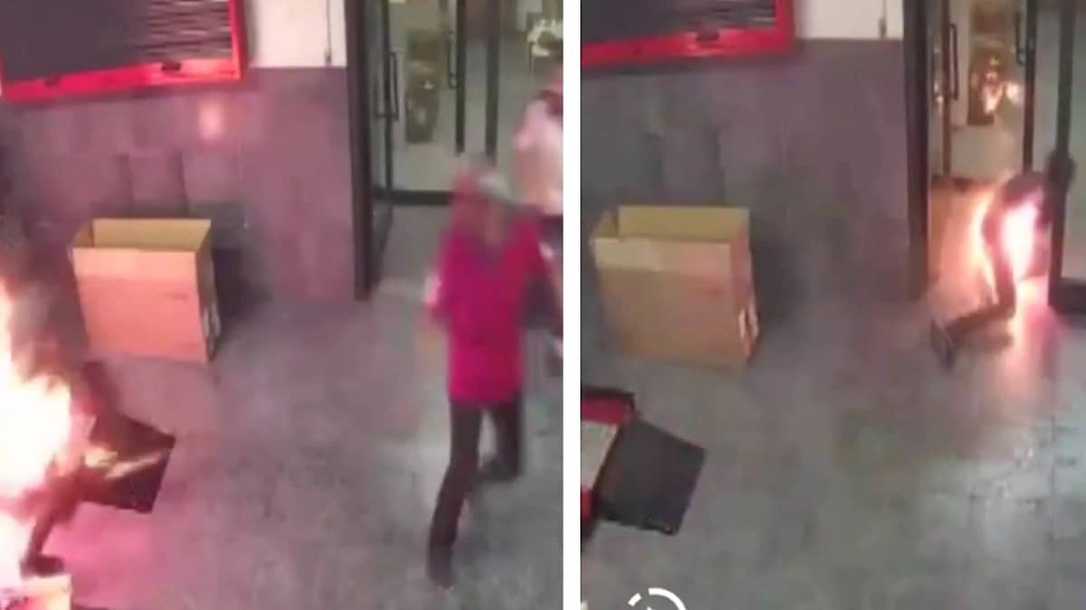 WhatsApp Image 2025-10-24 at 9.12.24 PM.jpeg