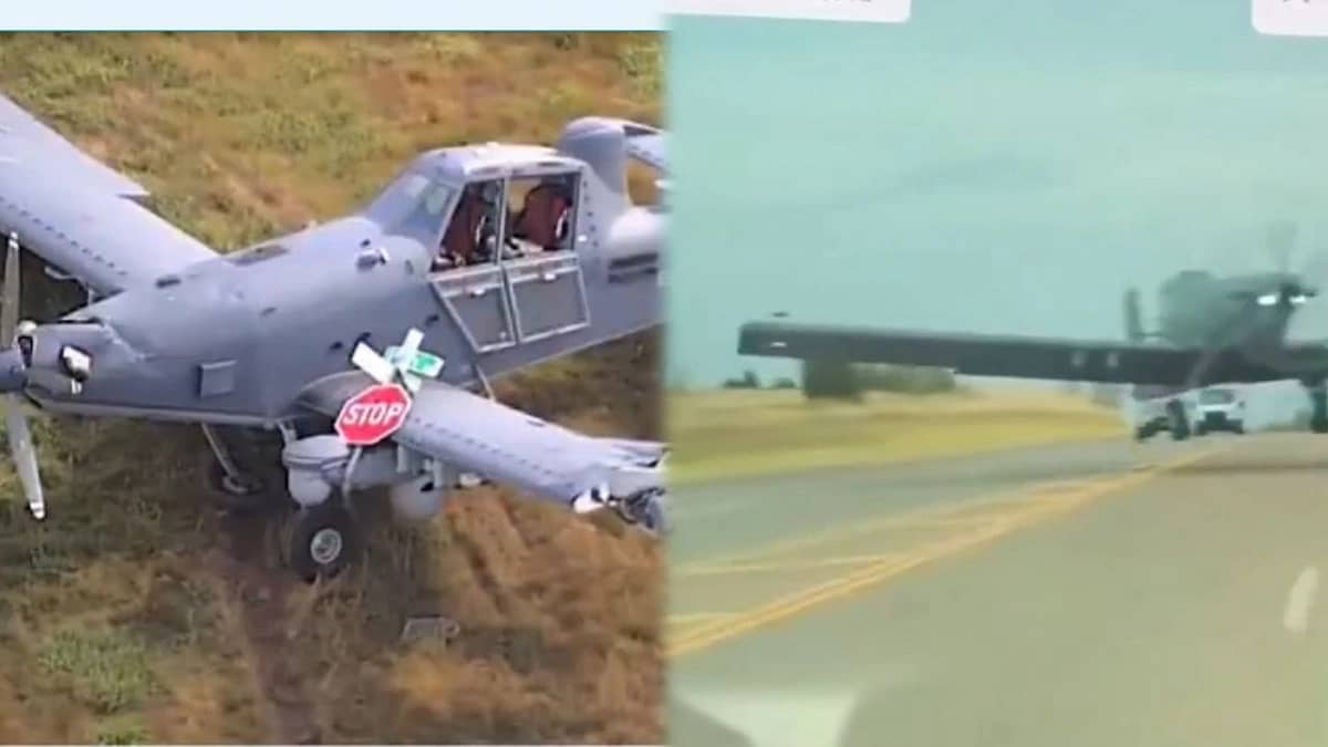 WhatsApp Image 2025-10-25 at 12.29.46 PM.jpeg