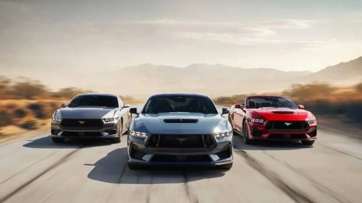 WhatsApp Image 2025-10-26 at 7.44.32 PM.jpeg