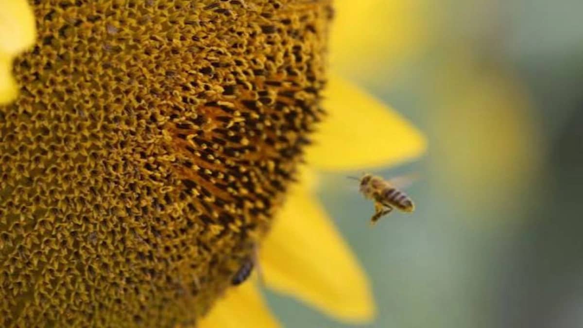 WhatsApp Image 2025-10-27 at 10.37.54 AM.jpeg