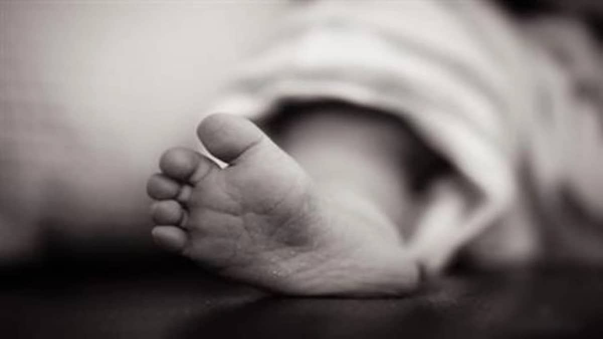 WhatsApp Image 2025-10-27 at 6.15.29 PM (1).jpeg