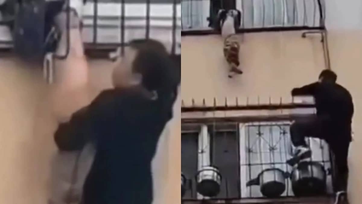 WhatsApp Image 2025-10-29 at 10.50.12 PM.jpeg