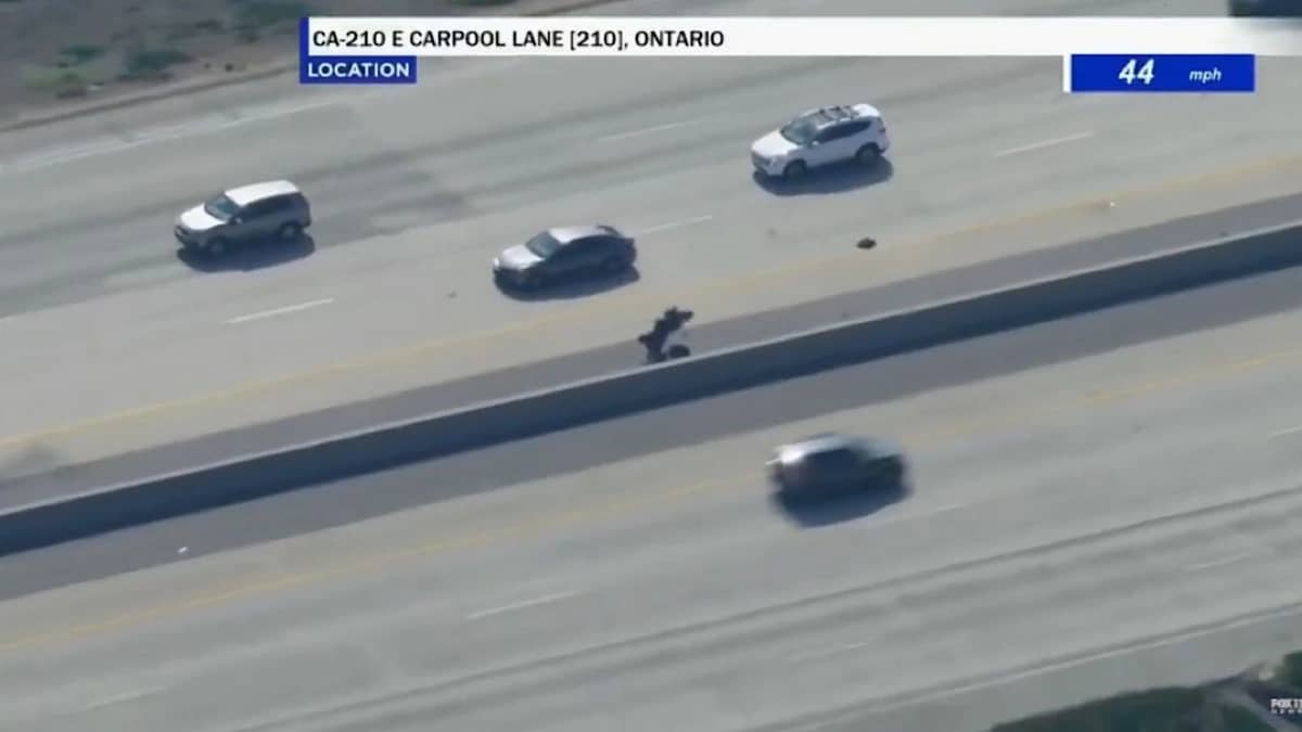 WhatsApp Image 2025-10-29 at 4.36.21 PM.jpeg